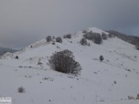 2018-01-13 M. Orsello 059